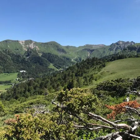 T3 Au Mont-dore Avec Terrasse Et Wifi - Fr-1-608-175 Apartamento