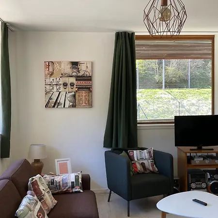 T3 Au Mont-dore Avec Terrasse Et Wifi