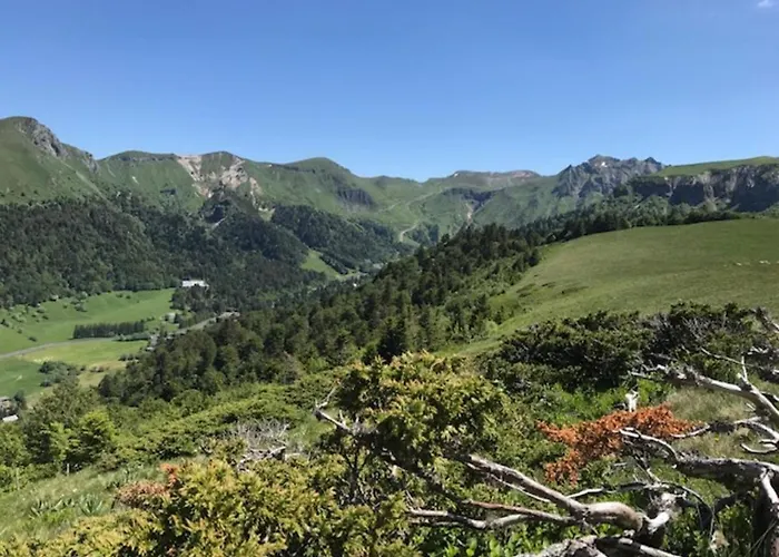 T3 Au Mont-dore Avec Terrasse Et Wifi - Fr-1-608-175 Διαμέρισμα