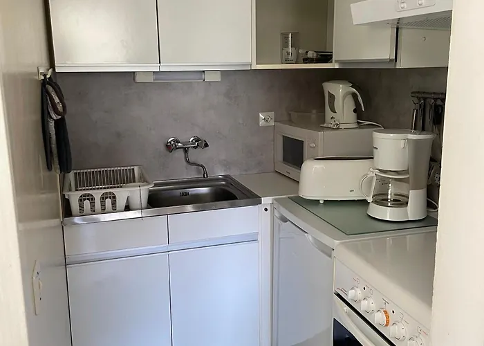 T3 Au Mont-dore Avec Terrasse Et Wifi - Fr-1-608-175 Mont-Dore