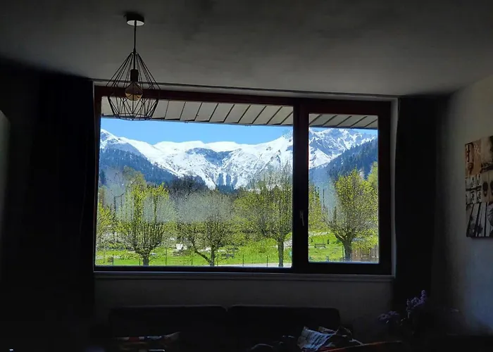 Apartamento T3 Au Mont-dore Avec Terrasse Et Wifi - Fr-1-608-175