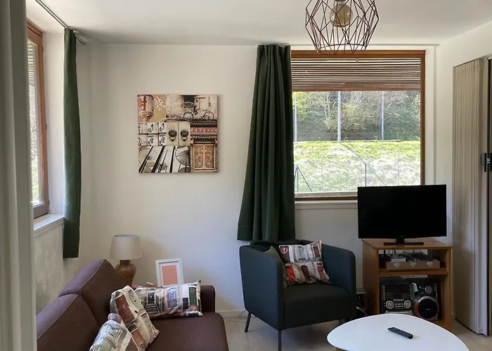 T3 Au Mont-dore Avec Terrasse Et Wifi - Fr-1-608-175